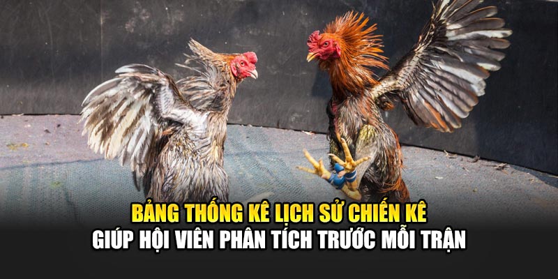 Bảng thống kê lịch sử chiến kê giúp hội viên phân tích trước mỗi trận