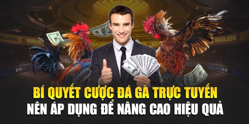 Bí quyết cược đá gà trực tuyến 188BET cần nắm để nâng cao hiệu quả