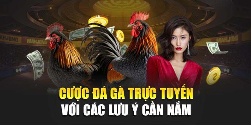 Cược đá gà trực tuyến với các lưu ý cần nắm tại 188BET