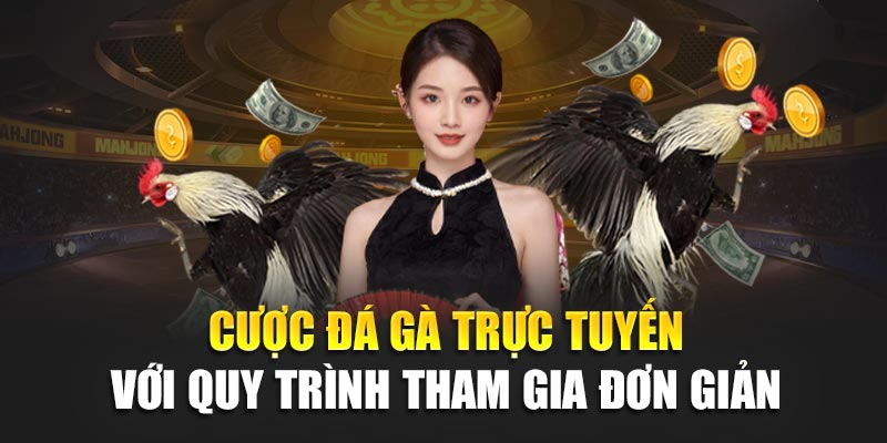 Cược đá gà trực tuyến với quy trình tham gia đơn giản
