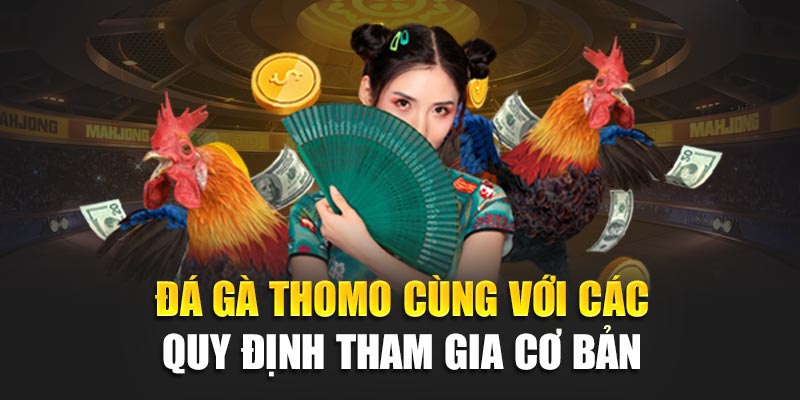 Đá gà thomo 188BET cùng với các quy định tham gia cơ bản