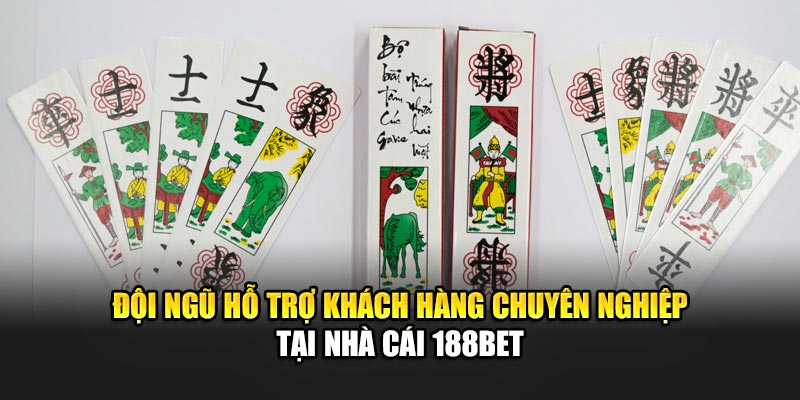 Đội ngũ hỗ trợ khách hàng chuyên nghiệp tại nhà cái 188Bet