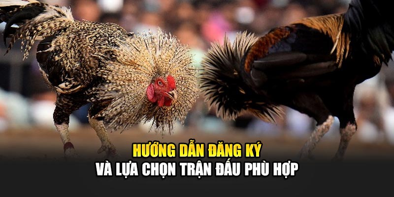 Hướng dẫn đăng ký và lựa chọn trận đấu phù hợp
