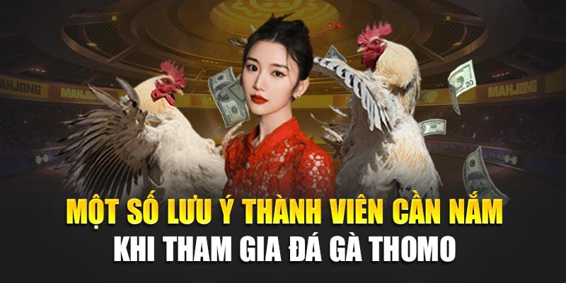 Một số lưu ý thành viên cần nắm khi tham gia đá gà thomo tại 188BET