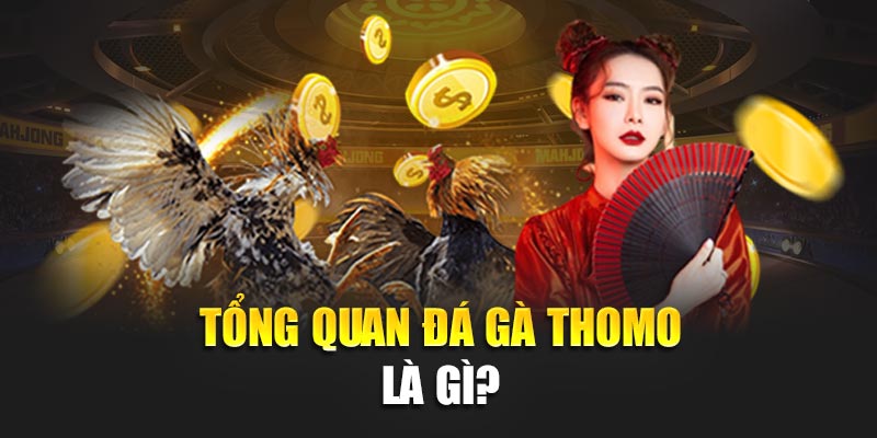 Tổng quan đá gà thomo là gì?